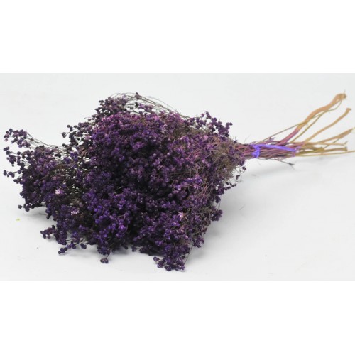 BROOM BLOOM ΜΩΒ 50cm 0924008 (1 τεμάχιο)