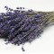 DRIED LAVENDER 70gr 25cm 0953500 (1 τεμάχιο)