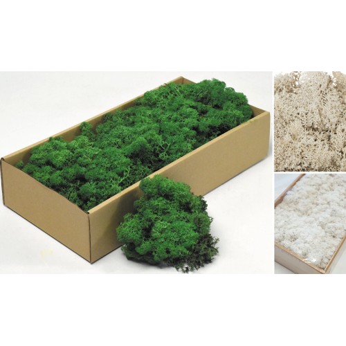 MOSS 500g 0516180 (1 τεμάχιο)