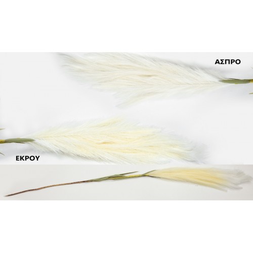 ΚΛΑΔΙ ΤΥΠΟΥ PAMPAS 120cm 0516190 (1 τεμάχιο)