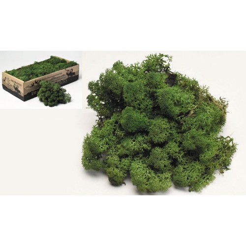 MOSS 500g 0967703 (1 τεμάχιο)