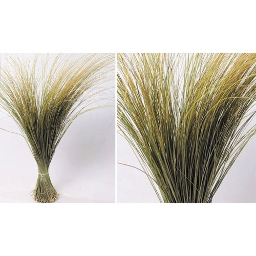 BEACH GRASS XL 120cm 0934500 (1 τεμάχιο)